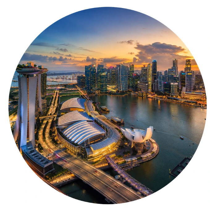 Wisecor India operations for Singapore companies